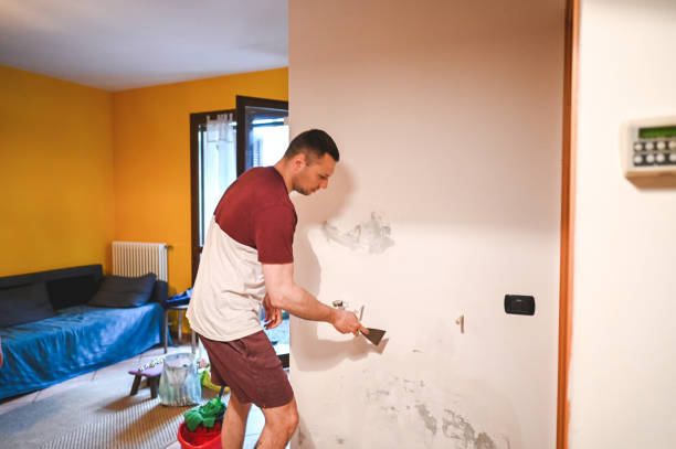 Best Emergency Mold Removal  in West Canton, NC